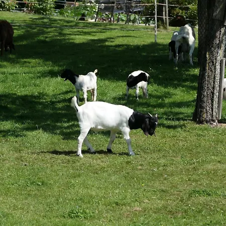 Haus Kathan Apartman *